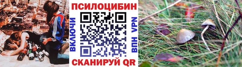 Купить закладки  Чухлома  Галлюциногенные грибы GOLDEN TEACHER 